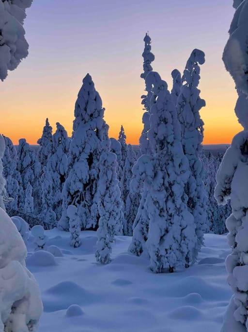 Kielo In Center Near All The Main Spots Rovaniemi Exterior foto